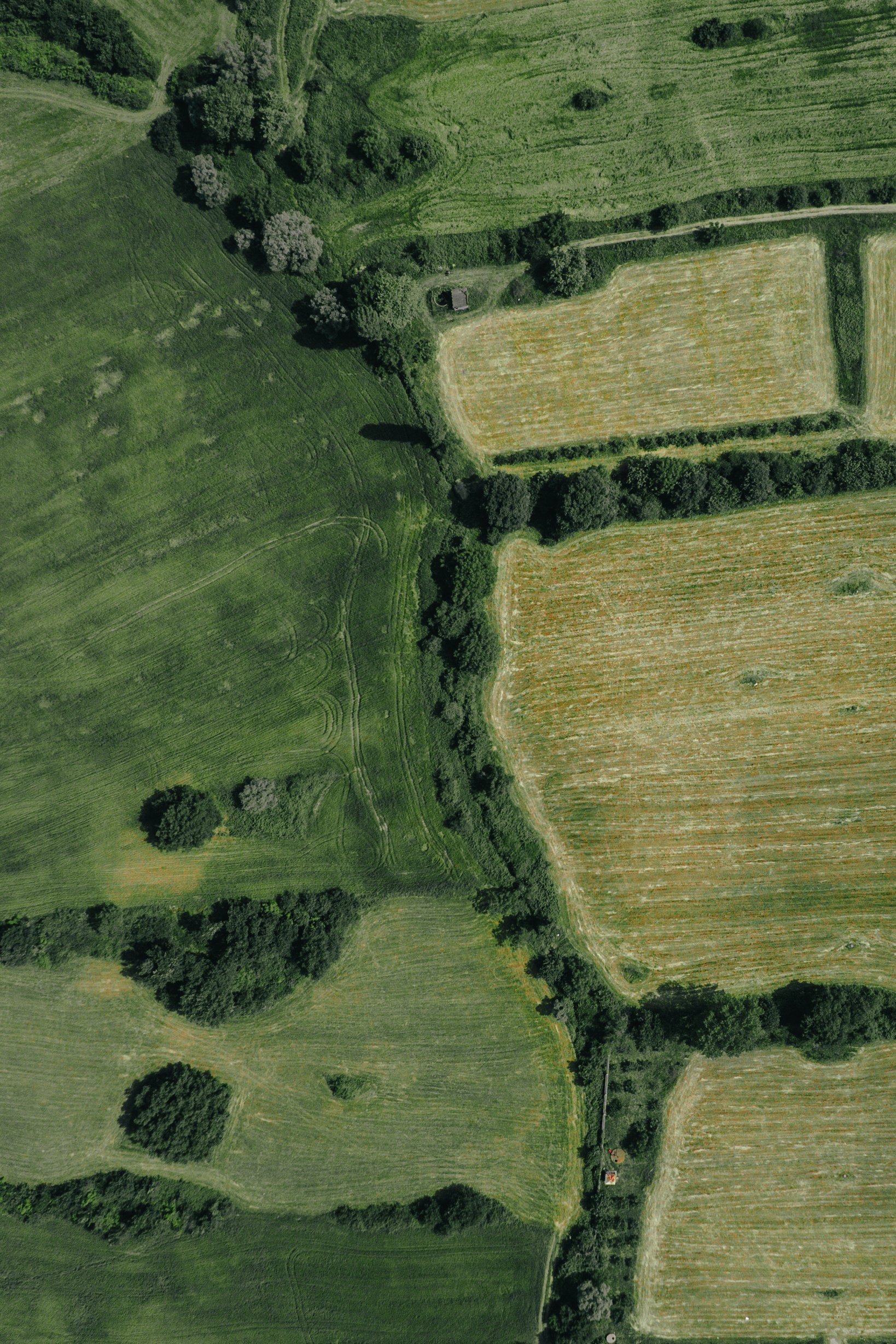 Drove View of an Agricultural Field